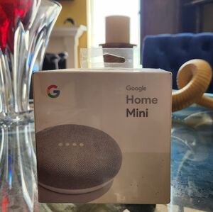 New, Google Home Mini
